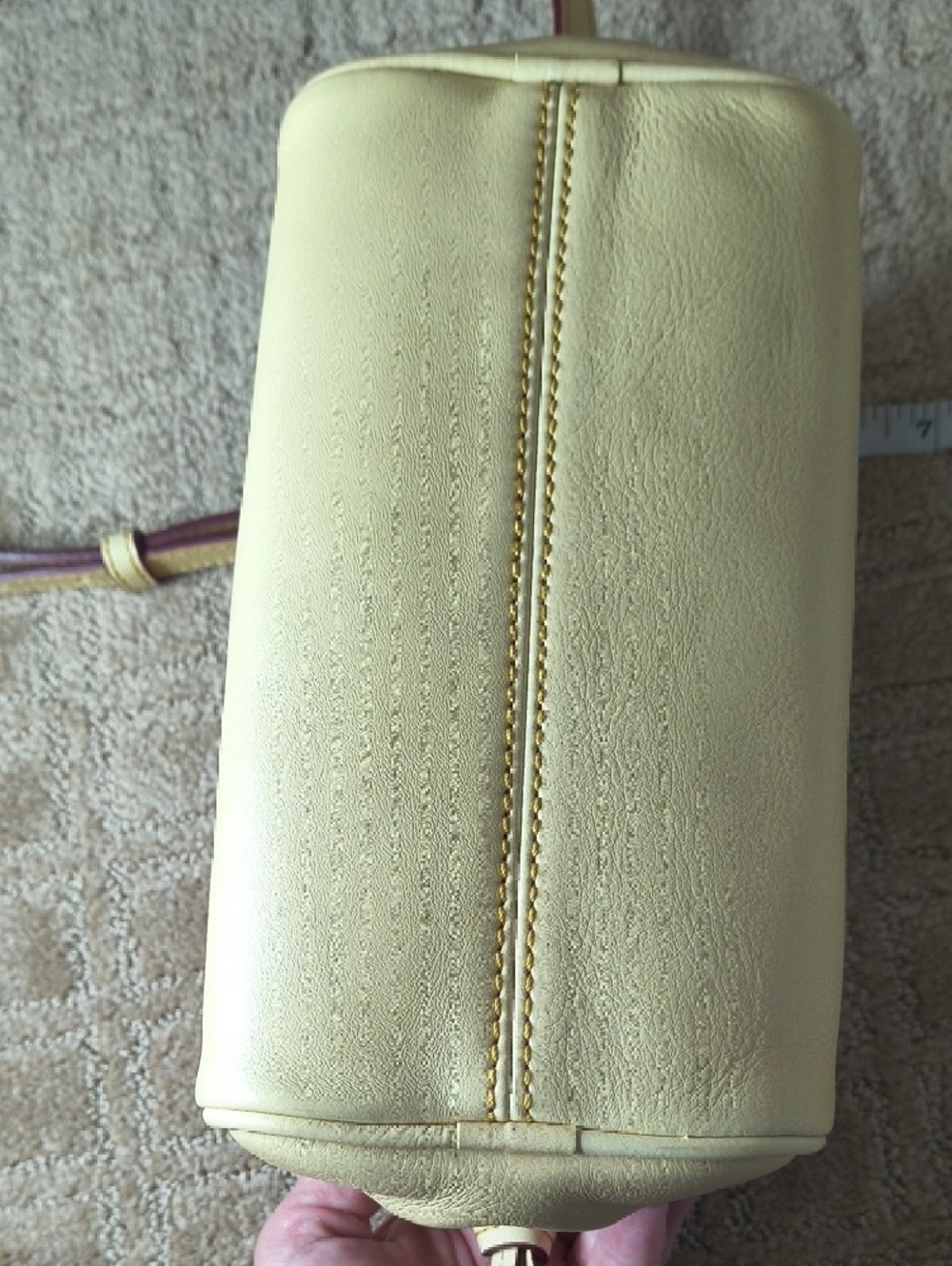 Dooney & Bourke Mini Zip Florentine Crossbody In Bone - Picture 2 of 12